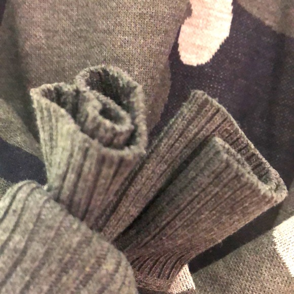 WHIPPER IN SWEATER. - Picture 4 of 5